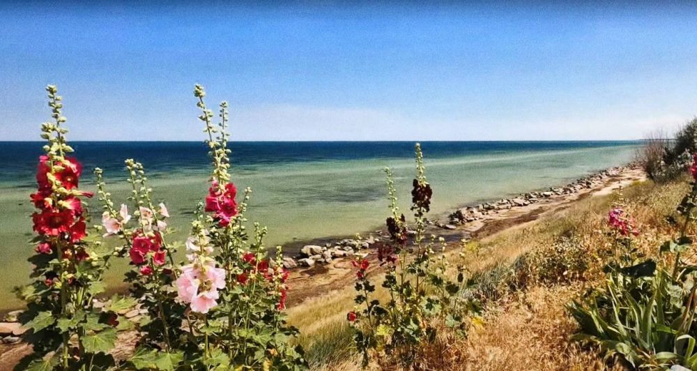 �������� ��� �� ���� ������ ��������� ���������� � ������ ����