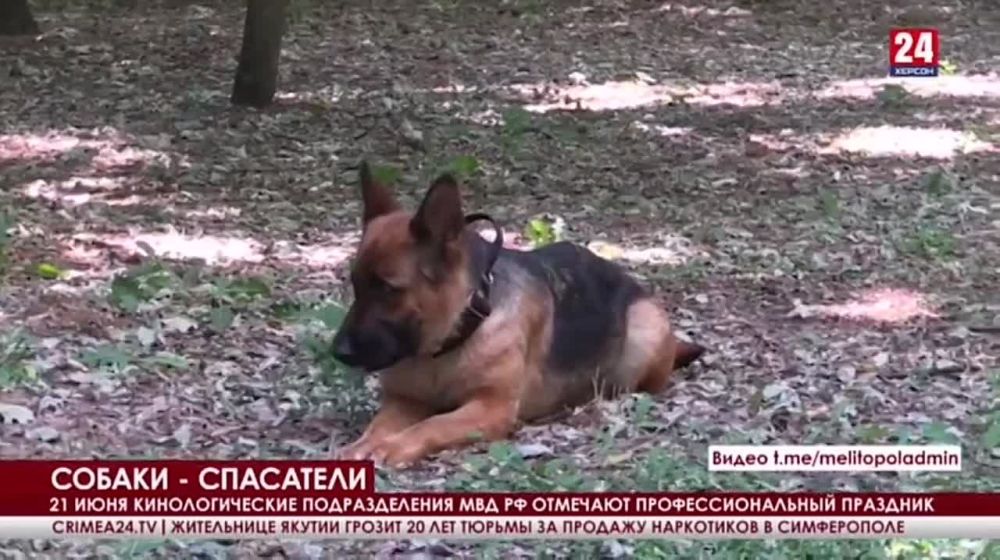 �������� ������ ������ ����������� �������� �� ������� � ��������� 24�