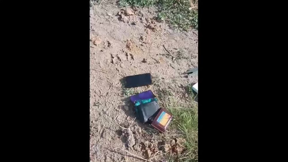 ��� 28-� ���������� ��� ���������� � 12 �� �� ���������