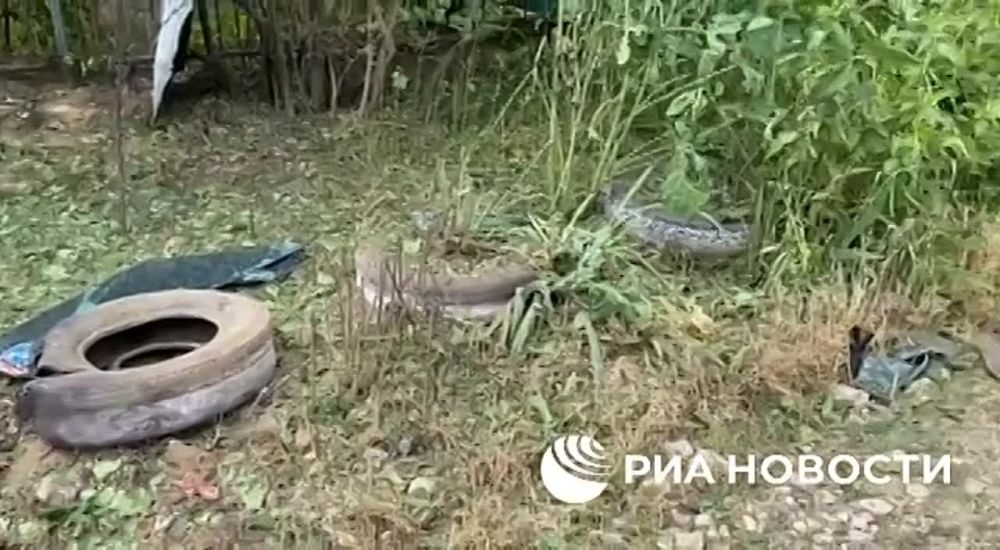 ��������� ��������� �� ����� ��� ����������� ���� ��������