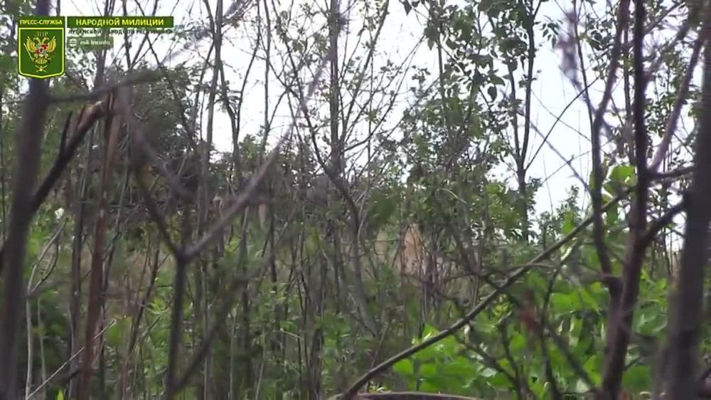 ����� �������� ������� ��� ���������� ������, ����������� ��������� � �������