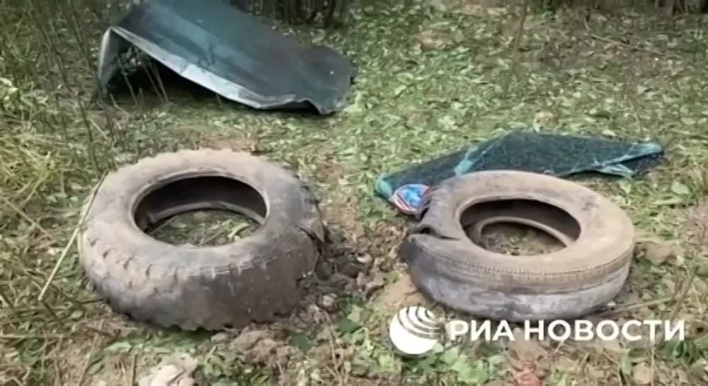 �������� ����������������� ����������� ������� ����������� ������� ��������� �� ����� ������-����������� ������������� ������ ����������� � ���������� �������