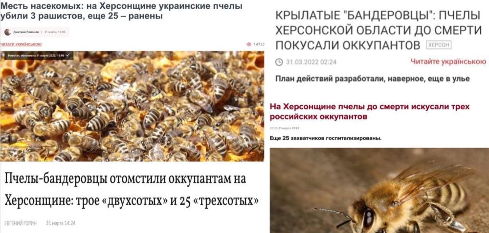 ����� ������� �����-������, ����������� ����� ������� �� ���: ��, ��� �� ������ ������� ����� �������� ����������, ��������� ����� ������ �������