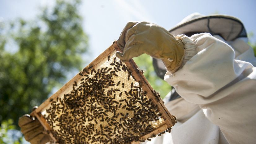 �������������� ����� ���������� ��� ������� � ��������� ���� �� ���������� ������� ��� �������� ��������� ������