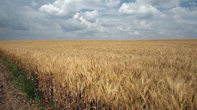 ����� ������ �����: ���������� ��������� � �������� � �������� ��������� � ���������� �������