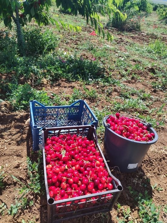 � ������� ��������� ������� ������� ������� ����� ����������������