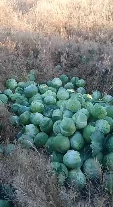 ����� ���������� ������� ����������� �������, ��������� ��� � ���������� ����� �������