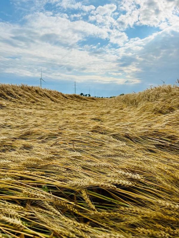 ���� ������ � ����� ������ ������ ���� �������� ���������