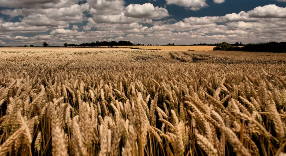 � ���������� ������� ������� ����� 1,2 ��� �������� ������