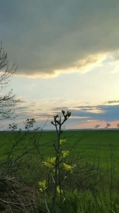 ����������� ��-25 ��� ������ ��� ������� ���������� ������� ������ ������ ���� ����, ����� ������������!