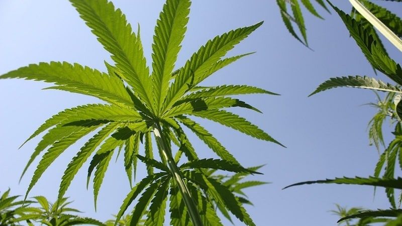 � ��������� ����������� ����� �������� ��������� �������