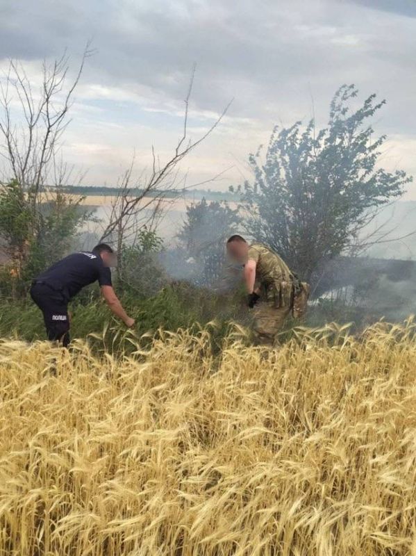 ����������, ��� � ���� �������� �� ���������� ���� �� ������� 40 �� ������ �������� ��-�� ������, ������� ��� ������������� ���������