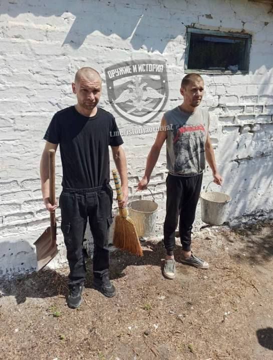 �������� ���������� �������� ������ ����������� ���������� ���� ������� �� ������