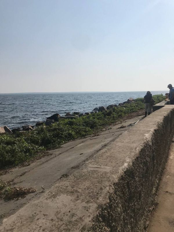 �� "����������� ������������ �����������" �����������