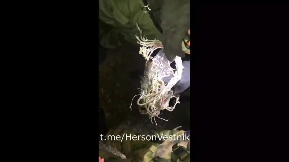 ������ ����� ����������� ��������� ����� �� ������� ��������� ������ �� ����� �������, � ���������� �������� ��� ���� ���� ������� � ��� ������ ������ �������� �������