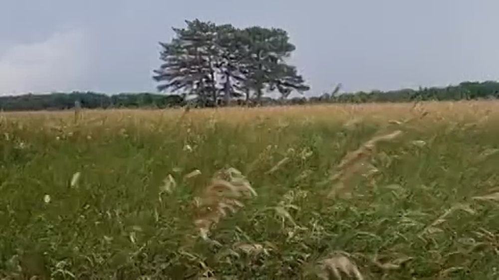 ������� ���������� ������� ���������� ���������� ���������� �������-����. ��� ������� � �����, ������ �������� ��...