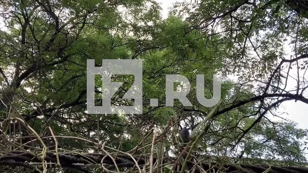 �������� ������ � ������� �� ����, �� ����� ���� �����