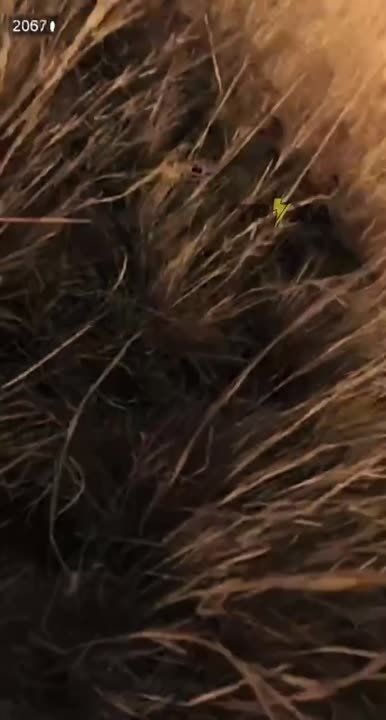 ���������� ���������� ������� �� ����� ������� ������� ������� ������ �������� ��������� ��� ������������