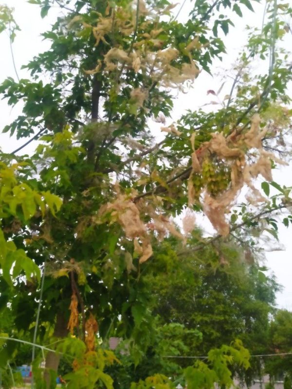 � ��������� ������ �������� ���������� ������� �������� ������������ ������� ������� ��������� ������