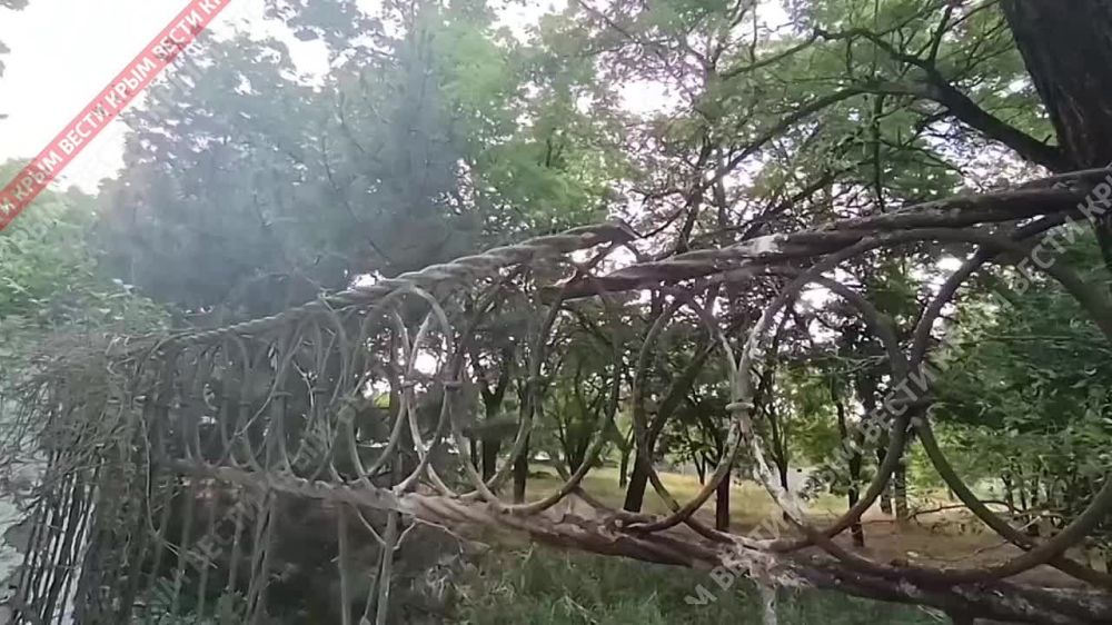 ��� �������� ������������ ����� � ������ �������