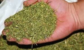 �� ���������� ������� ����������� ����� ���������� ���������