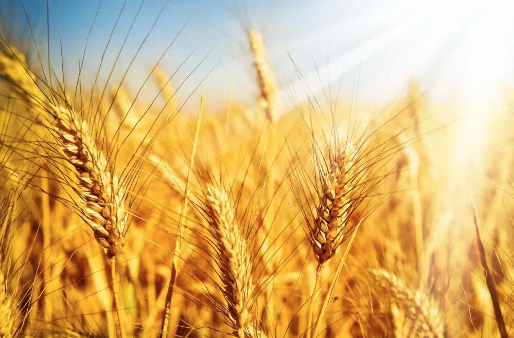 ������� ������� ���������� �������������� � ���������� �������