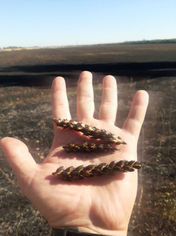 � ���������� ������� ��-�� ��������� ��� ����� ����