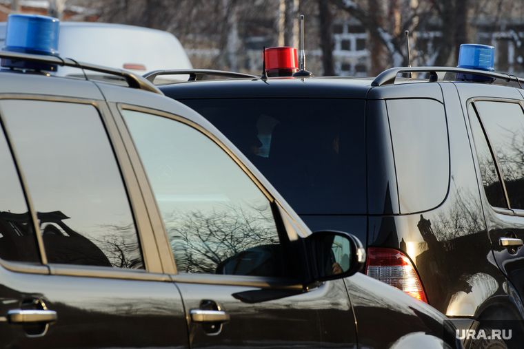 ����������: ����������� ���� ������������ �� ������������ �������