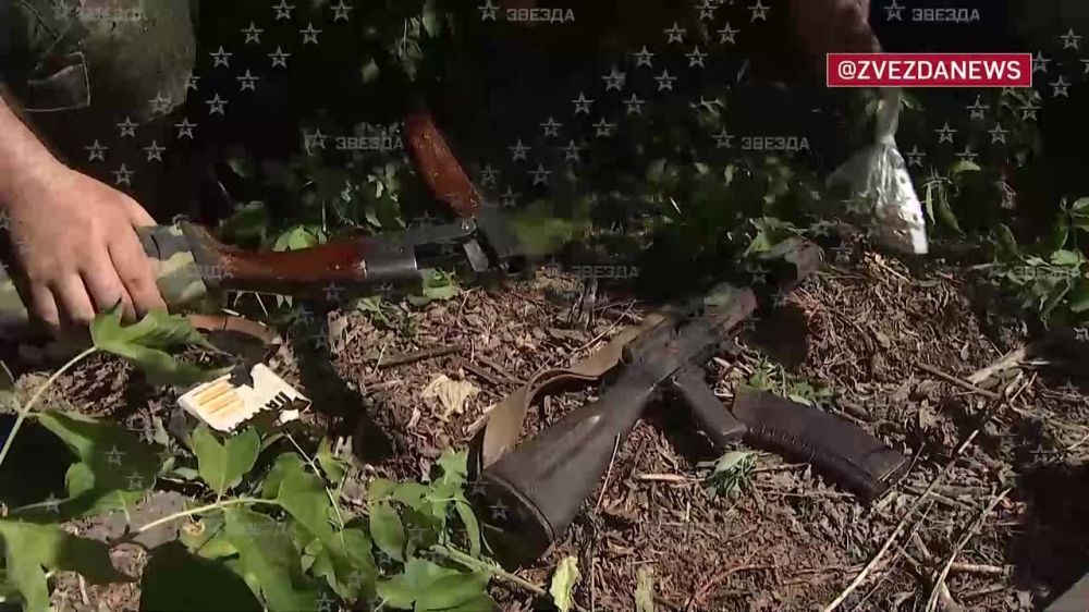 ���� �������� � ������� ������: ������ ������� ���� ������� �� �������� ����������� ��������� ������