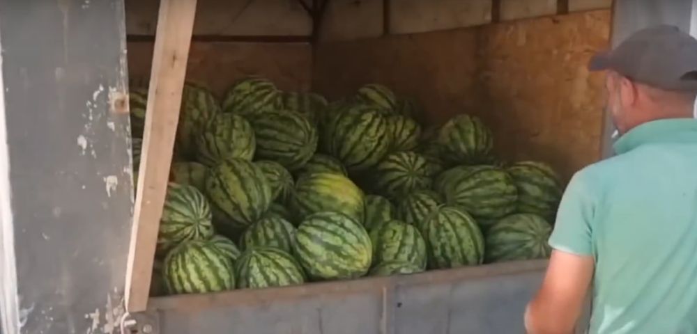 �� ���������� ������ ��������� � ������� ������ ������ �� ���������� �������� �������� � ���������