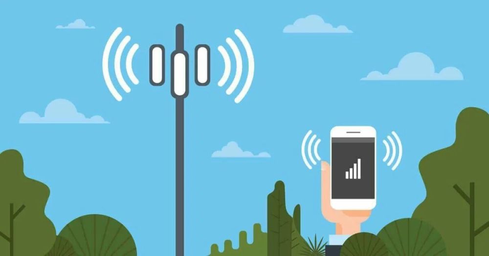 � 15 ���� ��� ���������� ���������� ������� ������� ��������� ������