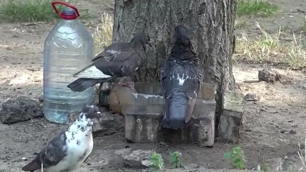 � ������� ���������� ��� ��������� ������� �������, �������������� ��������� �� ������� ��������