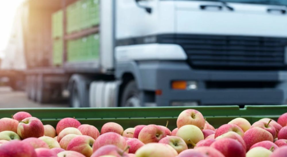 ����������, ����������� � ����������� ������� �������� ����������� �������� ��������� � ������ ����� �������