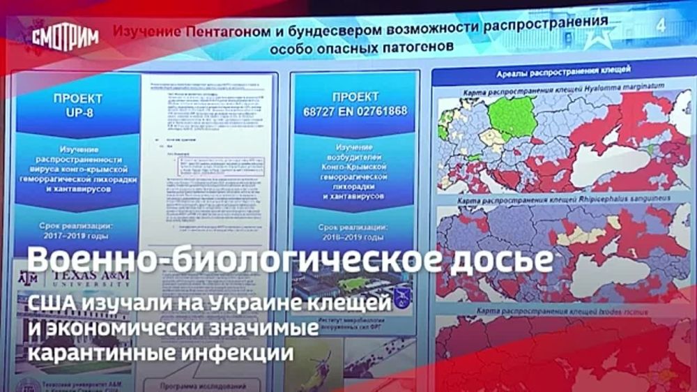 �������� ����� ������ � ���������� �������� ����� ���: