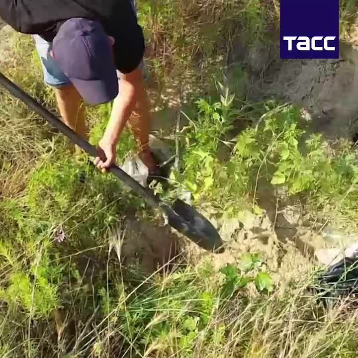 ������� ������ ������� ���������� ��������� ������������ �������� ������ ���������� ������������ � ������� � ������������ � ��������������� ������ ���������� �������, ������� �������� � ������������������ ����������