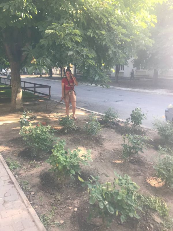 �� "�����������-������������ �����������" �����������: