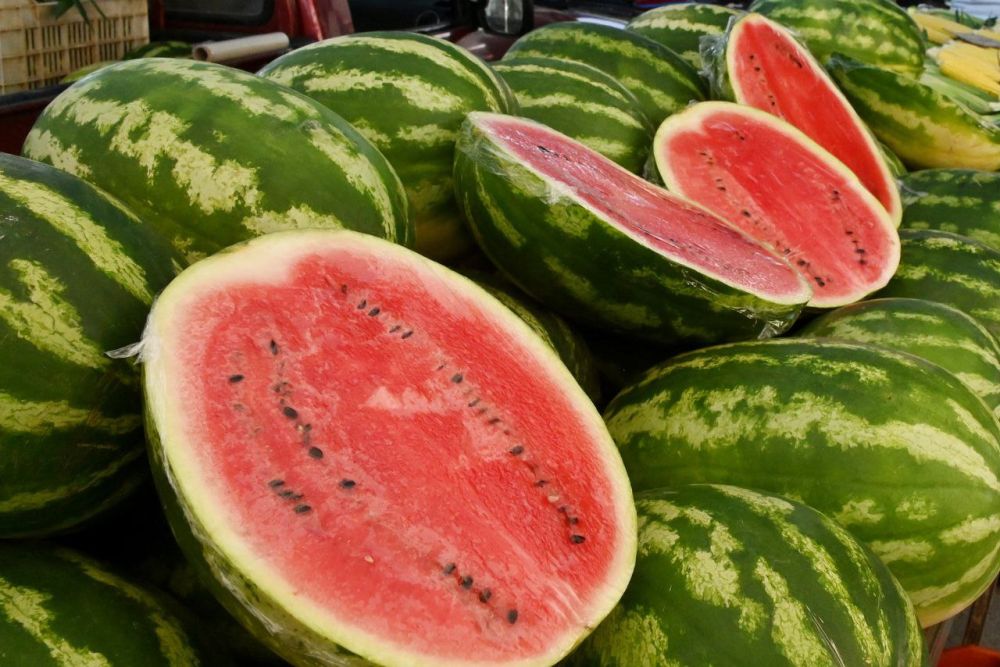 ���������� ������� ������ �������� ������� � ��