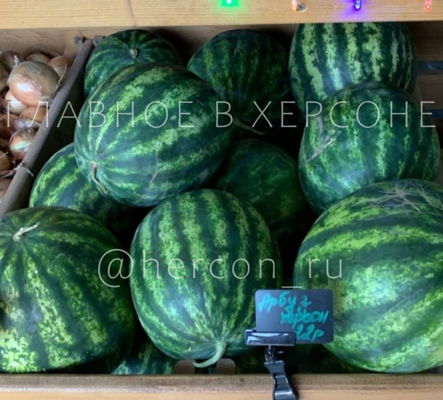 ������ � �������� �� ������� ������� � ����