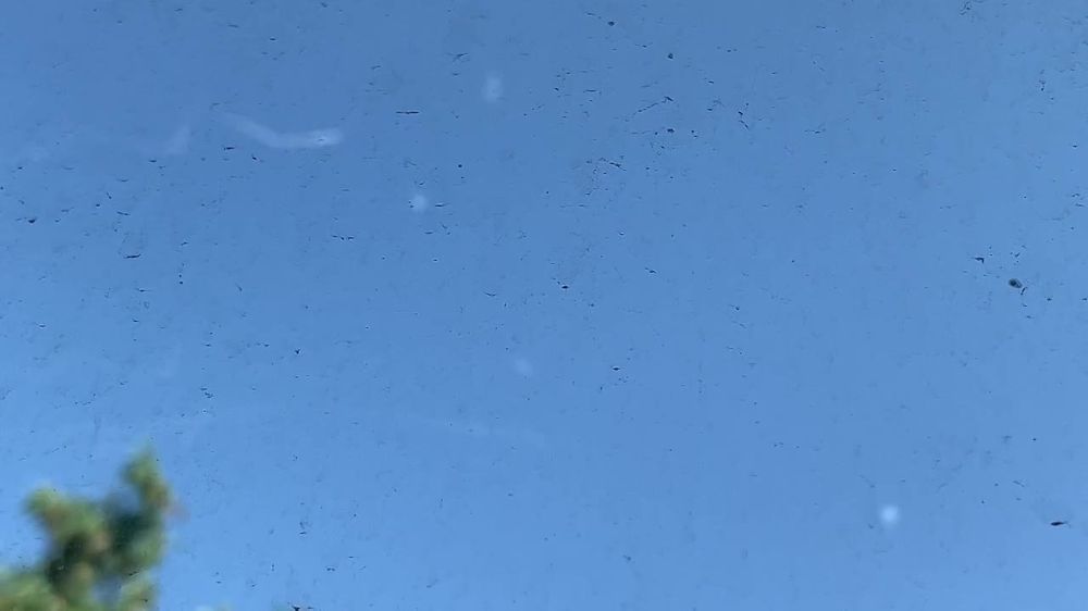 ��� �������� �������� ���