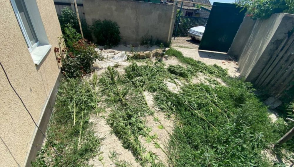 ������ ��������� ����� ������� � ������ � �����������