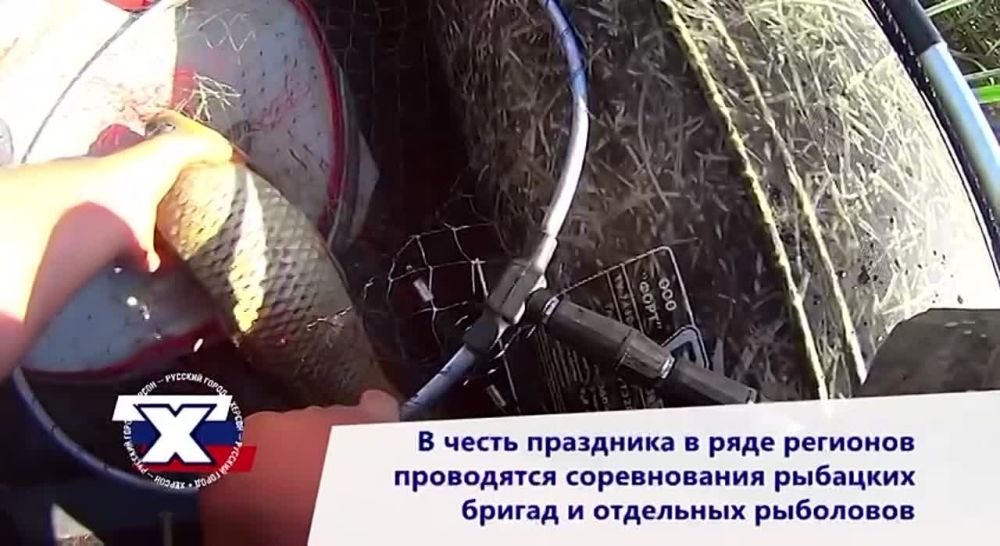 ������� ���� ���������-��������� ���������� ������� ����������� ������������ ��� ������