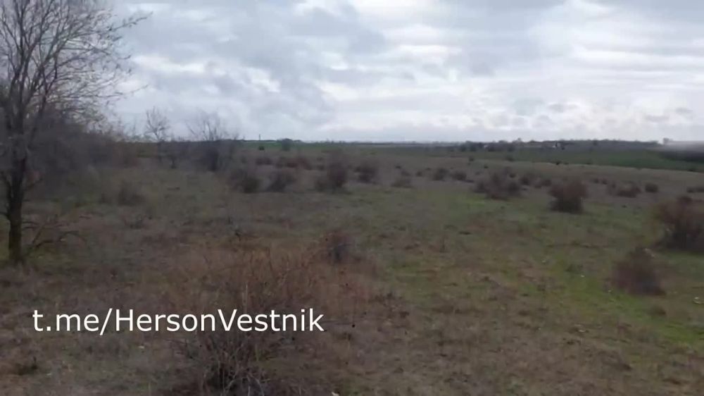 �� ���������� ����������� �������� 11-� ��������� ����������� ��������-��������� ������� �� �������