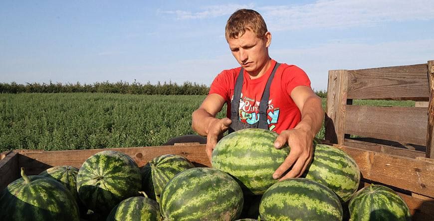 ������ �������� ��� ���������� �������