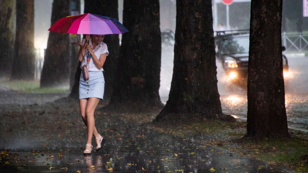 ������� ������� � ��������� ���: 10 ����