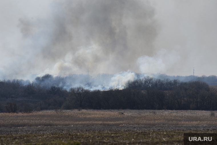 ��� ������� �� ��� � ���������� �������. �����