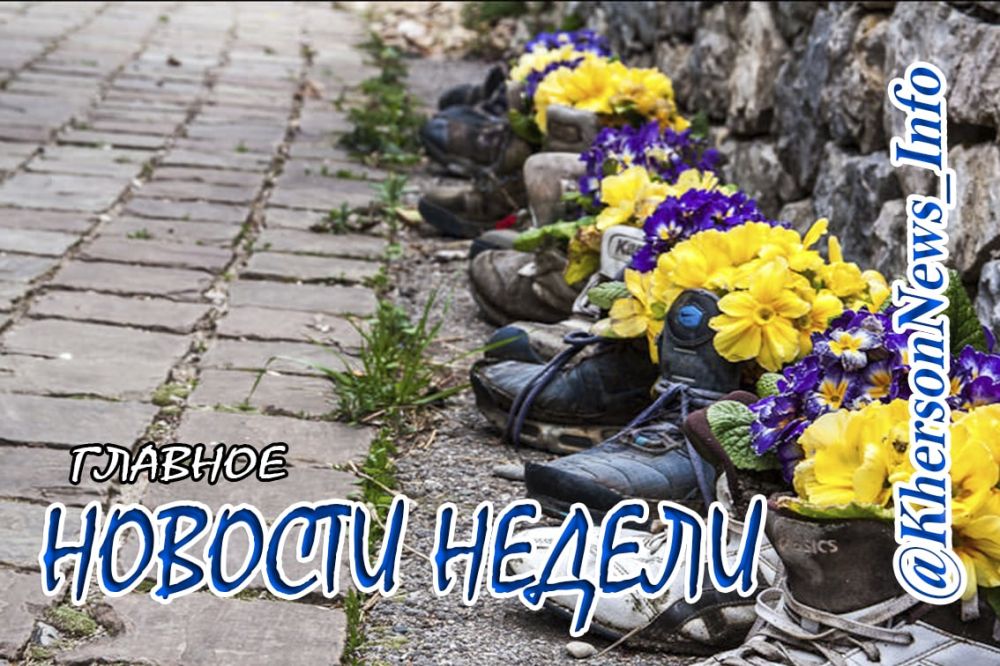 ������, ����������� ������� ���������� � �������� �������� ��������, ������������ � ���������� ������� �� ��� ������ (04.07- 10.07)