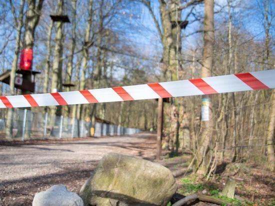 ������ ������� ������������� ������