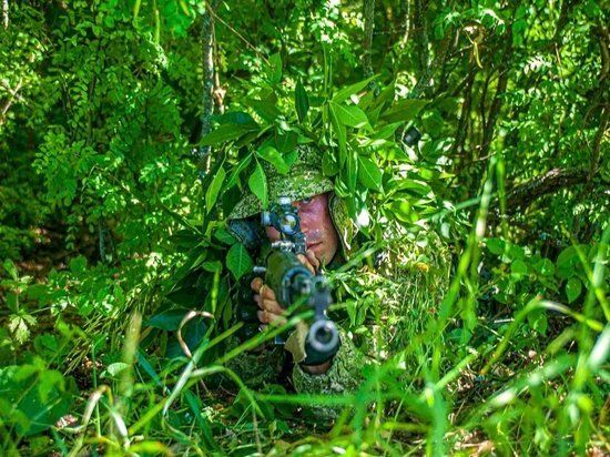 ������� �����: ������� �� ������������� ����������� ����� ������������