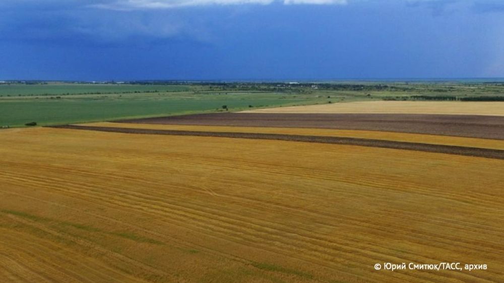 �������� �������� ��������� ���� ������� �� ������� � ���������� ��������, ������� ��� �� �������� ������, ������ �������� ������-����������� ������������� ������� ������ ����������