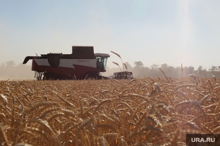 ������� ������ ��������� ���� � �������� � ���������� �������